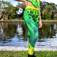 Load image into Gallery viewer, Medicated Leggings - Heady Harem